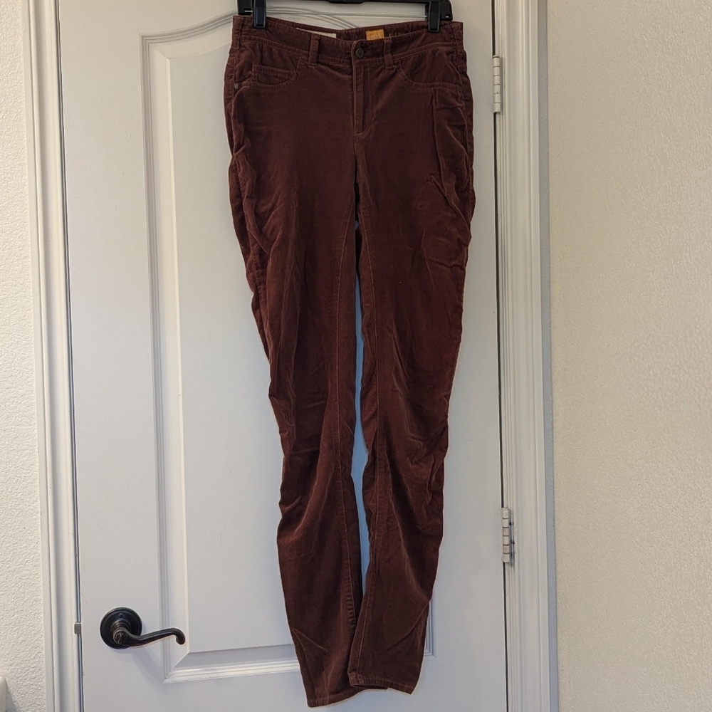 Pilcro And The Letterpress Fine Corduroy Pants